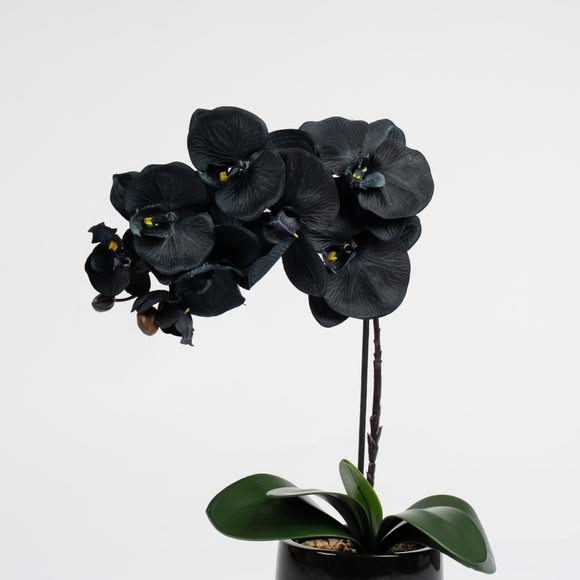 Tom Ford Black Orchid- edp 100ml
