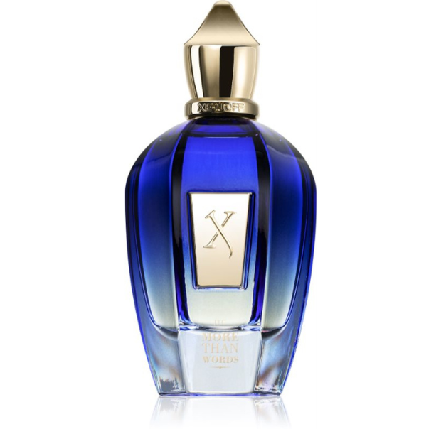 Xerjoff More Than Words Unisex- edp 100ml